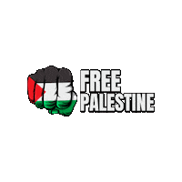 Freedom Dm Sticker