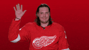 Red Wings Sport GIF by Detroit Red Wings