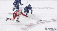 Ice Hockey Sport GIF by Detroit Red Wings
