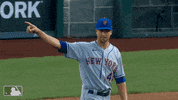 Celebrate Ny Mets GIF by New York Mets