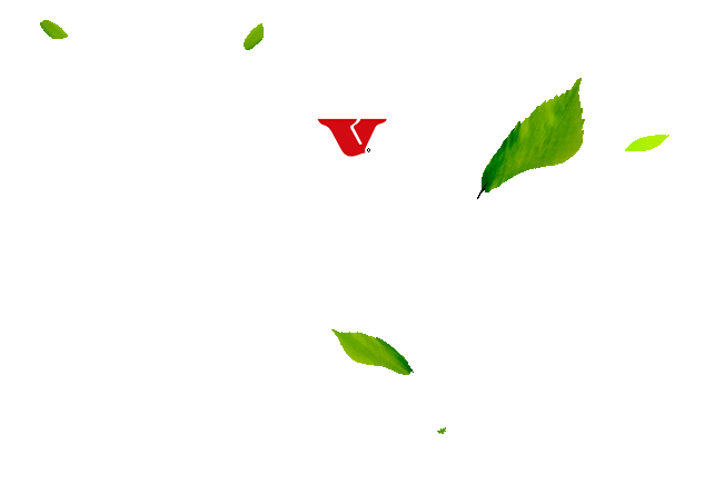 ervamatevier giphyupload bom dia mate vier Sticker