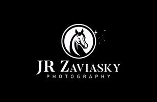 zaviasky horse portraits horsephotography horseportrait GIF