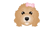 Doodle Cute Dog Sticker by zoopeez