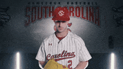 South Carolina Baseball GIF by gamecocksonline