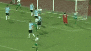 the new saints football GIF by TNSFC