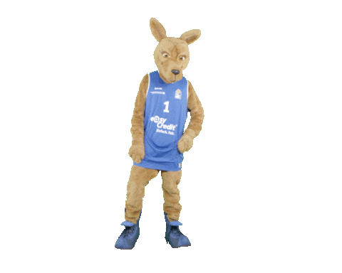 social-media-easycredit giphyupload basketball easycredit ellihoop Sticker