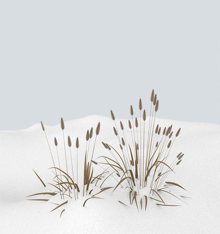 GIF by Sasha Katz