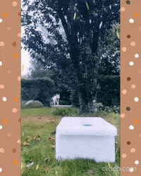 Mæt GIF by MAET
