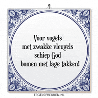 Hoop Nl GIF by Tegelspreuken.nl