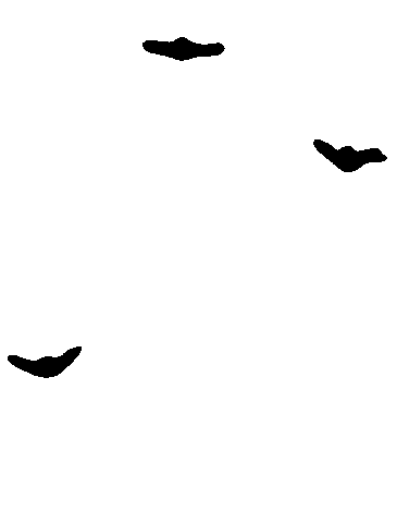 Stink Sticker by Arken Zoo