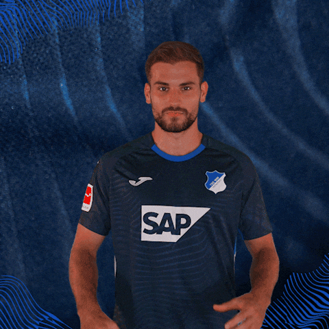 Sport Bundesliga GIF by TSG Hoffenheim