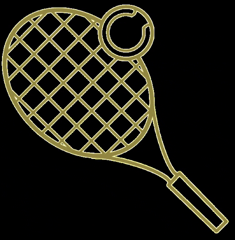 EasyTennis giphygifmaker sport tennis easy tennis GIF