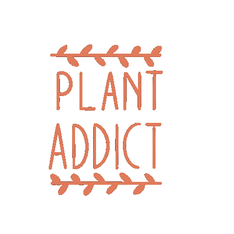 Plante Plant Addict Sticker