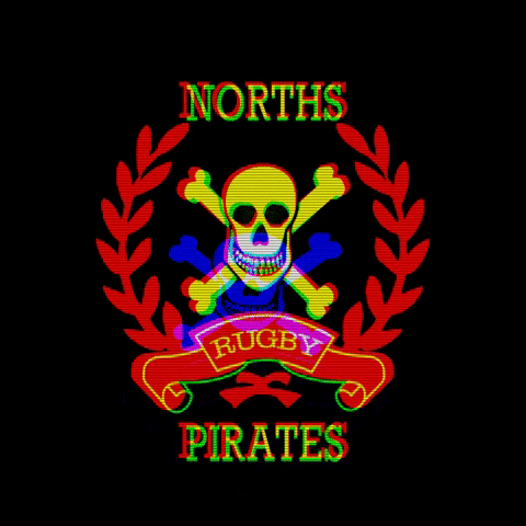 NorthsPirates giphygifmaker rugby pirates northspirates GIF