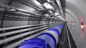 GIF by CERN