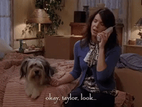 season 6 netflix GIF by Gilmore Girls 