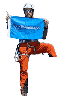 Logo Spedition Sticker by wesemann