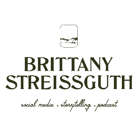 brittanystreissguth giphyupload Sticker