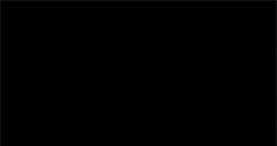 rat king animation GIF by Teenage Mutant Ninja Turtles