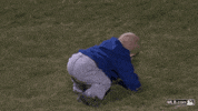 fan GIF by MLB