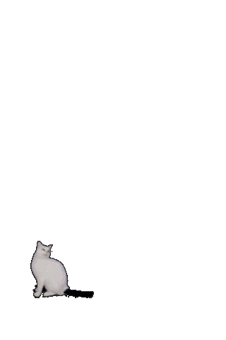 New Post Sticker by Alia Tempora