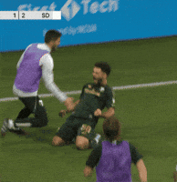 Happy Portland Timbers GIF by Major League Soccer