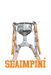 gaelic football win Sticker by SportTG4