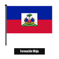 Haiti Flag Sticker by Formación Ninja