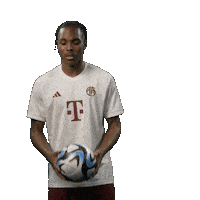 Football Kicking Sticker by FC Bayern Munich