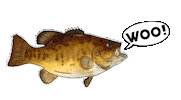 Ric Flair Fish Sticker by WOO! Tungsten