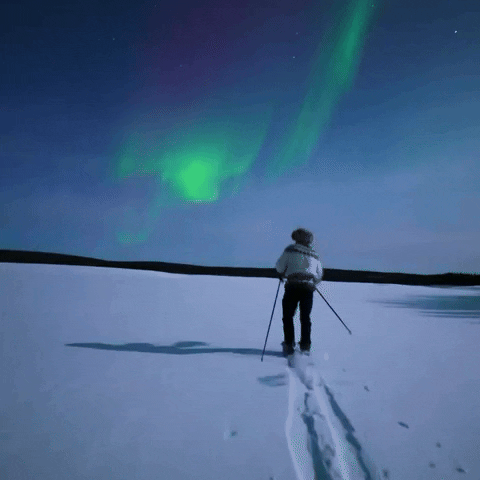 Northern Lights Snow GIF by Storyful