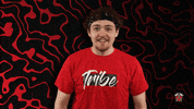 Brawl Stars Wow GIF by Tribe Gaming