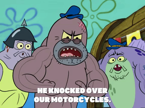 season 6 GIF by SpongeBob SquarePants
