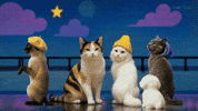 틴더스 GIF