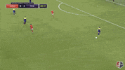 reign fc GIF by Seattle Reign FC