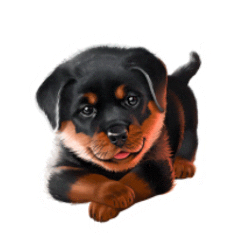 murkagames giphyupload game win play Sticker