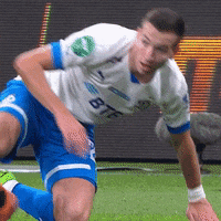 Football Sport GIF by FC Dynamo Moscow
