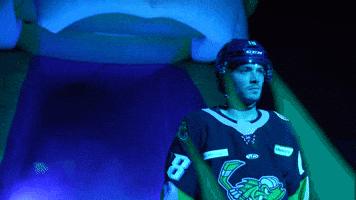 Bliss GIF by Toledo Walleye