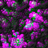 Art Love GIF by POST-WEB