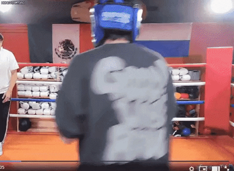 insights___ giphyupload GIF