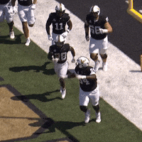 Sport Celebrate GIF by Vanderbilt Athletics