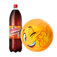 Turbaina Sticker by Ferraspari