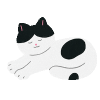 고양이 Winix Sticker by 위닉스