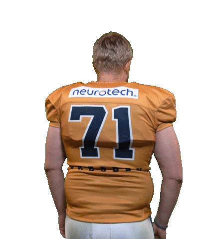 Football Sport Sticker by Dresden Monarchs