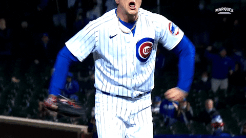 Cubs Steele GIF by Marquee Sports Network