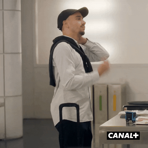 Mister V Fun GIF by CANAL+