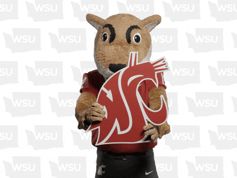 Washington State Go Cougs GIF by WSU Pullman