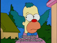 homer simpson GIF