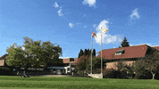 macdonald campus GIF by McGill University