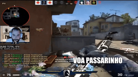 rodrigocamargo giphygifmaker csgo GIF